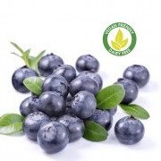 Dairy Free Vegan BLUEBERRY